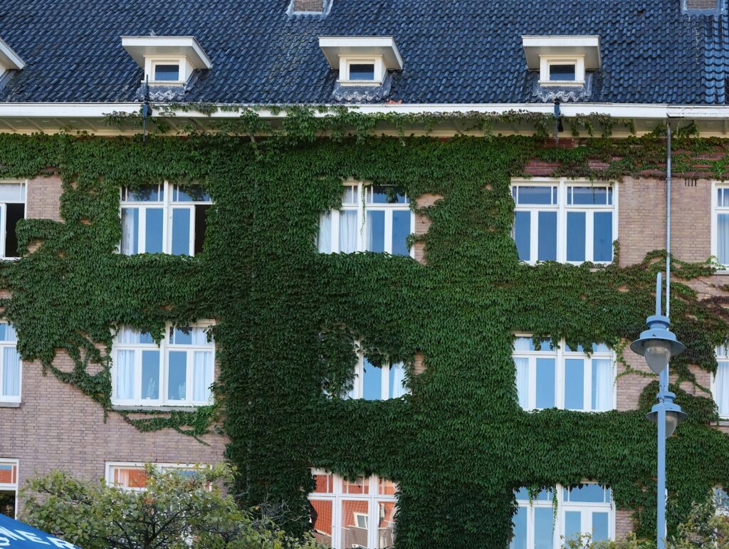 Groene, duurzame woning in een Nederlandse stad